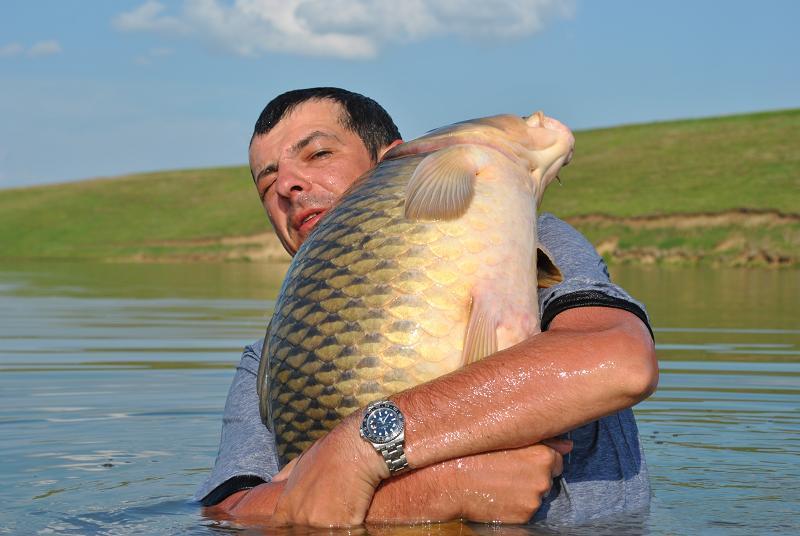 crapi - a86205c4-eede-45c9-870f-076e72d7c89c.jpg